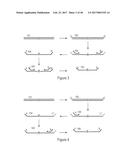 HIGHLY MULTIPLEX PCR METHODS AND COMPOSITIONS diagram and image