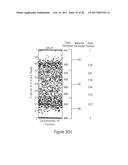 HIGHLY MULTIPLEX PCR METHODS AND COMPOSITIONS diagram and image