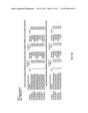 SMALL ncRNAS AS BIOMARKERS diagram and image