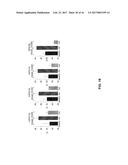 SMALL ncRNAS AS BIOMARKERS diagram and image