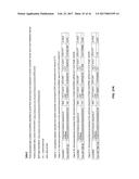 SMALL ncRNAS AS BIOMARKERS diagram and image