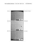 HOMOGENIZATION METHOD FOR Cu ALLOY COMPRISING Ru diagram and image