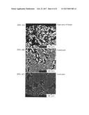 HOMOGENIZATION METHOD FOR Cu ALLOY COMPRISING Ru diagram and image