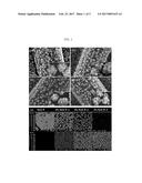 ULTRAL-LOW LOADING OF Pt-DECORATED Ni ELECTROCATALYST, MANUFACTURING     METHOD OF THE SAME AND ANION EXCHANGE MEMBRANE WATER ELECTROLYZER USING     THE SAME diagram and image