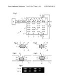 METHODS AND APPARATUS FOR INTRODUCING A SAMPLE INTO A SEPARATION CHANNEL     FOR ELECTROPHORESIS diagram and image