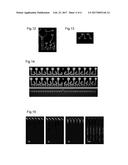 METHODS AND APPARATUS FOR INTRODUCING A SAMPLE INTO A SEPARATION CHANNEL     FOR ELECTROPHORESIS diagram and image