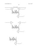 COMPOUNDS AND CONJUGATES FOR IDENTIFYING AND SEPARATING     POST-TRANSLATIONALLY MODIFIED ANALYTES diagram and image