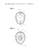 NON-CONTACT EGG IDENTIFICATION SYSTEM FOR DETERMINING EGG VIABILITY USING     TRANSMISSION SPECTROSCOPY, AND ASSOCIATED METHOD diagram and image