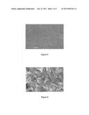 BIOREACTOR FOR THE IN SITU STUDY OF MICROBIAL BIOFILMS INDUCING CORROSION     ON METAL SURFACES diagram and image