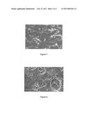 BIOREACTOR FOR THE IN SITU STUDY OF MICROBIAL BIOFILMS INDUCING CORROSION     ON METAL SURFACES diagram and image