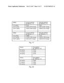 SYSTEM AND METHOD FOR MULTIPHASE FLOW MEASUREMENTS diagram and image