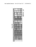 NOVEL CELL LINES AND METHODS diagram and image