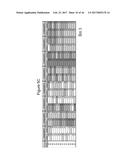 NOVEL CELL LINES AND METHODS diagram and image