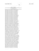 NOVEL CELL LINES AND METHODS diagram and image