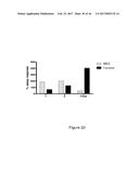 NOVEL CELL LINES AND METHODS diagram and image