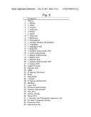 METHOD FOR ASSESSING STATE OF DIFFERENTIATION OF CELLS diagram and image