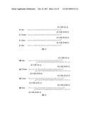 ANTIGEN DETECTION USING PHOTOCLEAVABLE LABELS diagram and image