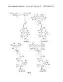 ANTIGEN DETECTION USING PHOTOCLEAVABLE LABELS diagram and image