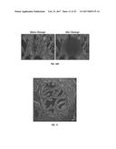 ANTIGEN DETECTION USING PHOTOCLEAVABLE LABELS diagram and image