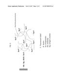 ELECTROCHEMILUMINESCENT DETECTION SYSTEM diagram and image