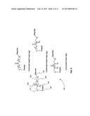 Microbial Identification and Quantitation Using MS Cleavable Tags diagram and image