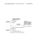 RAPID DETECTION OF THE  HIGH VIRULENT  ST-17 CLONE OF GROUP B     STREPTOCOCCUS diagram and image