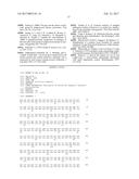 RAPID DETECTION OF THE  HIGH VIRULENT  ST-17 CLONE OF GROUP B     STREPTOCOCCUS diagram and image