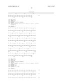 RAPID DETECTION OF THE  HIGH VIRULENT  ST-17 CLONE OF GROUP B     STREPTOCOCCUS diagram and image