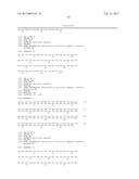 RAPID DETECTION OF THE  HIGH VIRULENT  ST-17 CLONE OF GROUP B     STREPTOCOCCUS diagram and image