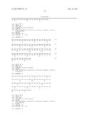 RAPID DETECTION OF THE  HIGH VIRULENT  ST-17 CLONE OF GROUP B     STREPTOCOCCUS diagram and image