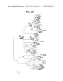 DETECTION METHODS EMPLOYING HCV CORE LIPID AND DNA BINDING DOMAIN     MONOCLONAL ANTIBODIES diagram and image