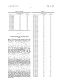 DETECTION METHODS EMPLOYING HCV CORE LIPID AND DNA BINDING DOMAIN     MONOCLONAL ANTIBODIES diagram and image