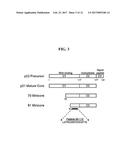 DETECTION METHODS EMPLOYING HCV CORE LIPID AND DNA BINDING DOMAIN     MONOCLONAL ANTIBODIES diagram and image