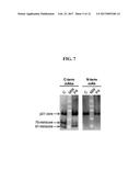 DETECTION METHODS EMPLOYING HCV CORE LIPID AND DNA BINDING DOMAIN     MONOCLONAL ANTIBODIES diagram and image