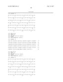 DETECTION METHODS EMPLOYING HCV CORE LIPID AND DNA BINDING DOMAIN     MONOCLONAL ANTIBODIES diagram and image