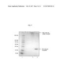Covalently Linked Thermostable Kinase for Decontamination Process     Validation diagram and image