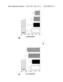 MARKERS FOR SEPSIS TREATMENT diagram and image