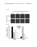 MOLECULES AND METHODS FOR ITERATIVE POLYPEPTIDE ANALYSIS AND PROCESSING diagram and image