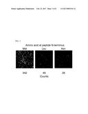 MOLECULES AND METHODS FOR ITERATIVE POLYPEPTIDE ANALYSIS AND PROCESSING diagram and image