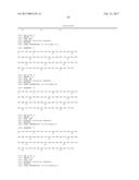 SPECIFIC AND HIGH AFFINITY BINDING PROTEINS COMPRISING MODIFIED SH3     DOMAINS OF FYN KINASE diagram and image