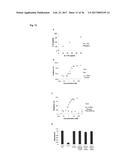 SPECIFIC AND HIGH AFFINITY BINDING PROTEINS COMPRISING MODIFIED SH3     DOMAINS OF FYN KINASE diagram and image