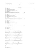 SPECIFIC AND HIGH AFFINITY BINDING PROTEINS COMPRISING MODIFIED SH3     DOMAINS OF FYN KINASE diagram and image