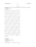 SPECIFIC AND HIGH AFFINITY BINDING PROTEINS COMPRISING MODIFIED SH3     DOMAINS OF FYN KINASE diagram and image