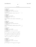 SPECIFIC AND HIGH AFFINITY BINDING PROTEINS COMPRISING MODIFIED SH3     DOMAINS OF FYN KINASE diagram and image