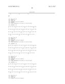 SPECIFIC AND HIGH AFFINITY BINDING PROTEINS COMPRISING MODIFIED SH3     DOMAINS OF FYN KINASE diagram and image