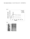 SPECIFIC AND HIGH AFFINITY BINDING PROTEINS COMPRISING MODIFIED SH3     DOMAINS OF FYN KINASE diagram and image