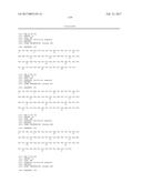 SPECIFIC AND HIGH AFFINITY BINDING PROTEINS COMPRISING MODIFIED SH3     DOMAINS OF FYN KINASE diagram and image