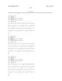 SPECIFIC AND HIGH AFFINITY BINDING PROTEINS COMPRISING MODIFIED SH3     DOMAINS OF FYN KINASE diagram and image