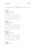 SPECIFIC AND HIGH AFFINITY BINDING PROTEINS COMPRISING MODIFIED SH3     DOMAINS OF FYN KINASE diagram and image