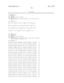 SPECIFIC AND HIGH AFFINITY BINDING PROTEINS COMPRISING MODIFIED SH3     DOMAINS OF FYN KINASE diagram and image